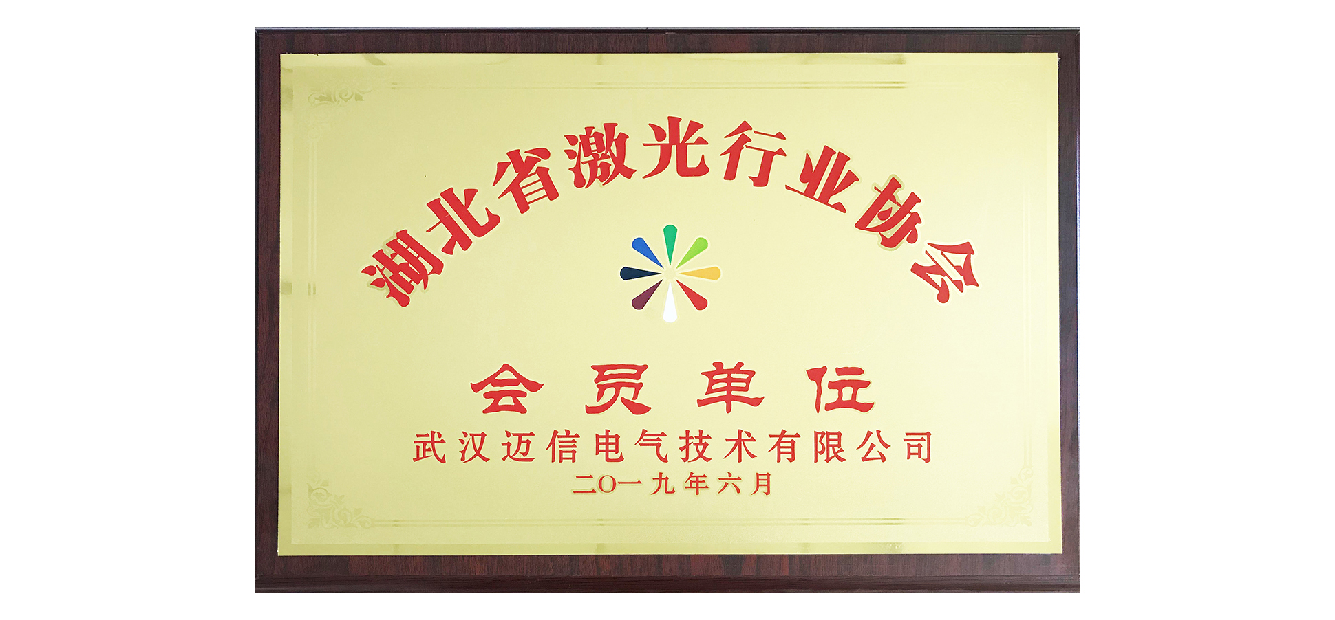邁信電氣受邀加入湖北省激光行業(yè)協(xié)會(huì )