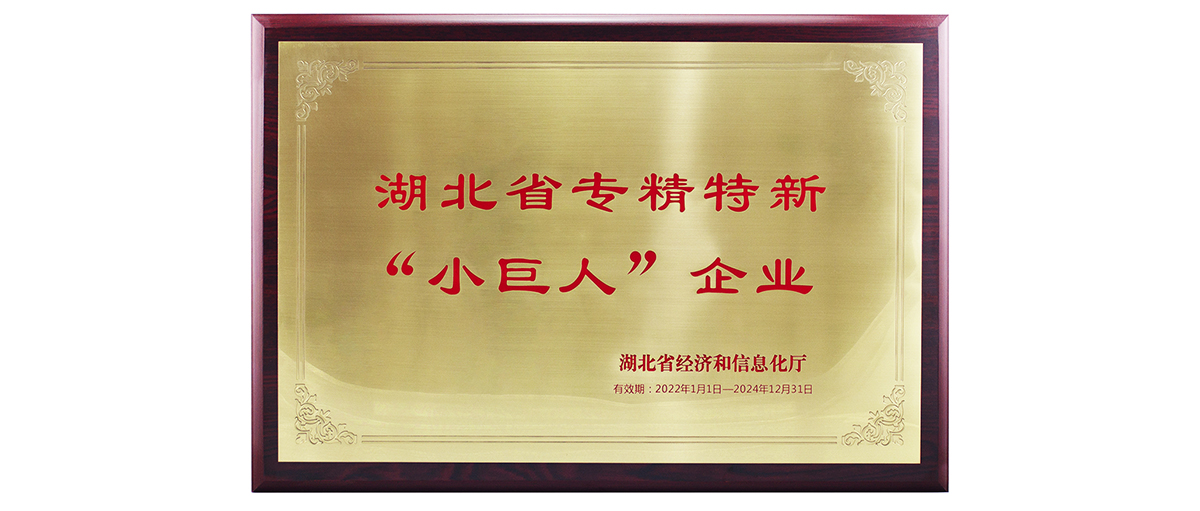 邁信電氣獲湖北省專(zhuān)精特新“小巨人”企業(yè)榮譽(yù)稱(chēng)號